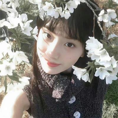 天宝伏妖录第二季